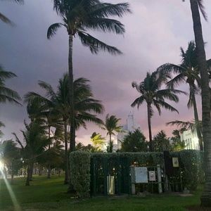 Meet your Posher, Shane